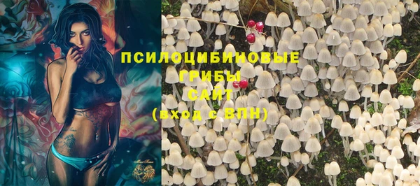 PSILOCYBIN Алексин