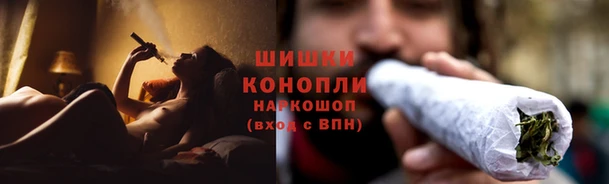 PSILOCYBIN Алексин