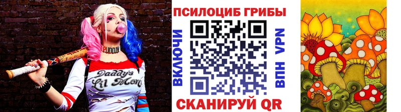 цена   mega зеркало  Псилоцибиновые грибы Cubensis  Кондопога 