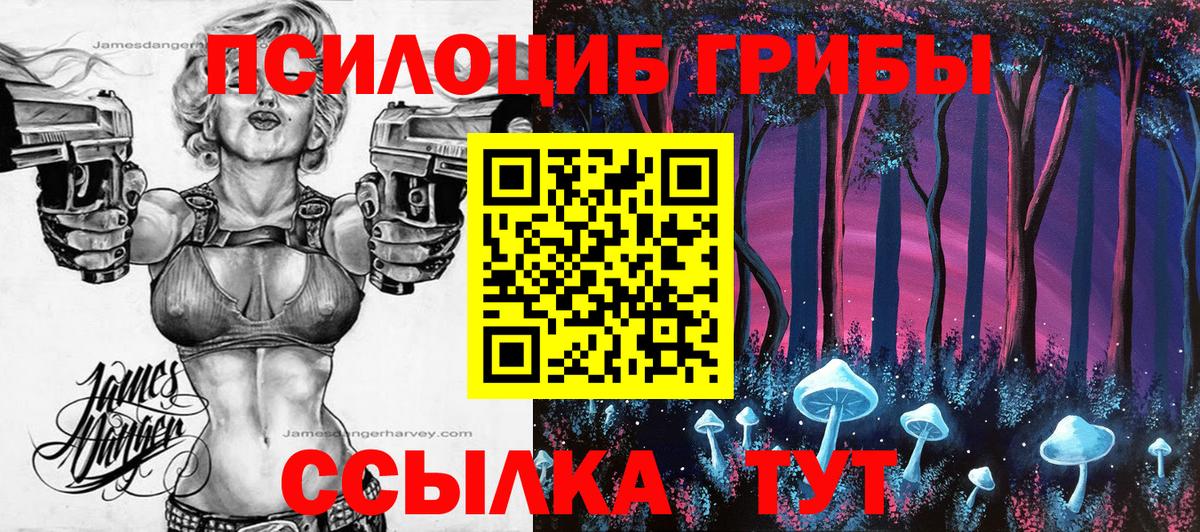 Галлюциногенные грибы GOLDEN TEACHER  Псилоцибиновые грибы MAGIC MUSHROOMS  Кондопога  Вход с VPN 